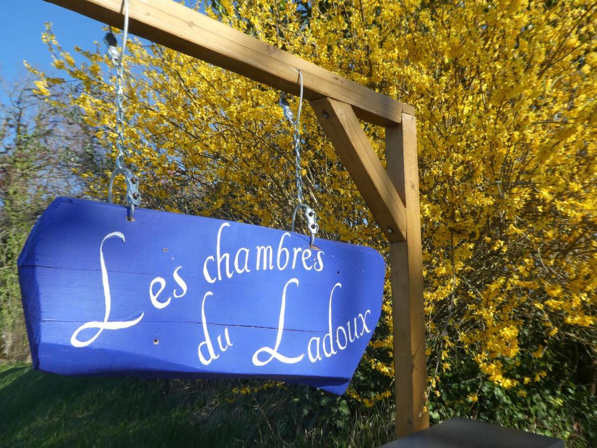 Les Chambres Du Ladoux Sencenac-Puy-de-Fourches 外观 照片
